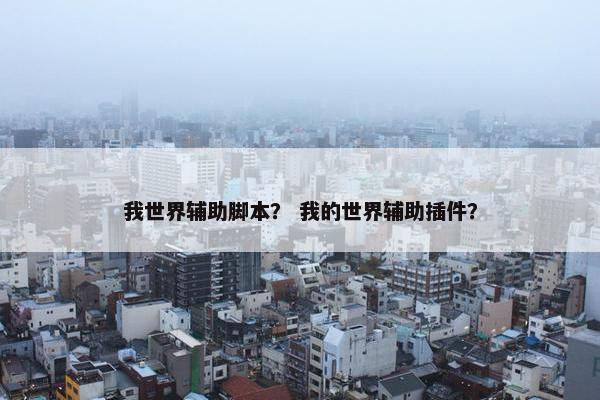 我世界辅助脚本？ 我的世界辅助插件？