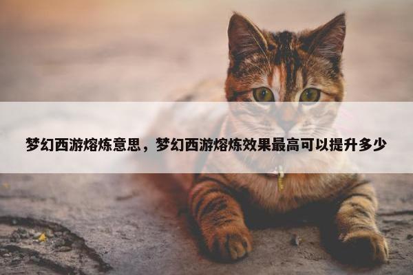 梦幻西游熔炼意思，梦幻西游熔炼效果最高可以提升多少