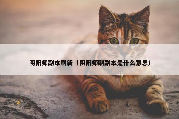 阴阳师副本刷新（阴阳师刷副本是什么意思）