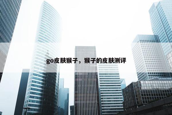 go皮肤猴子，猴子的皮肤测评