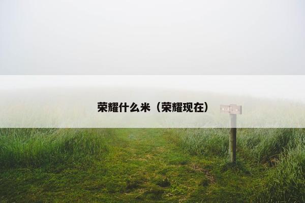 荣耀什么米（荣耀现在）