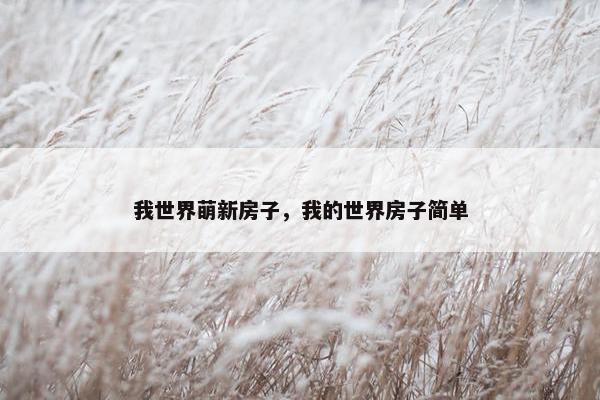 我世界萌新房子，我的世界房子简单