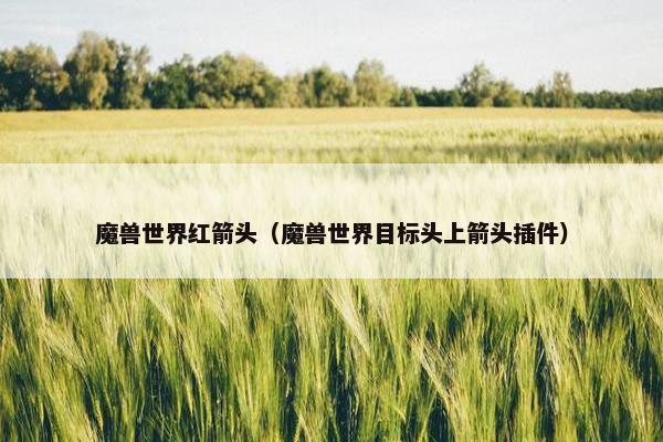 魔兽世界红箭头（魔兽世界目标头上箭头插件）