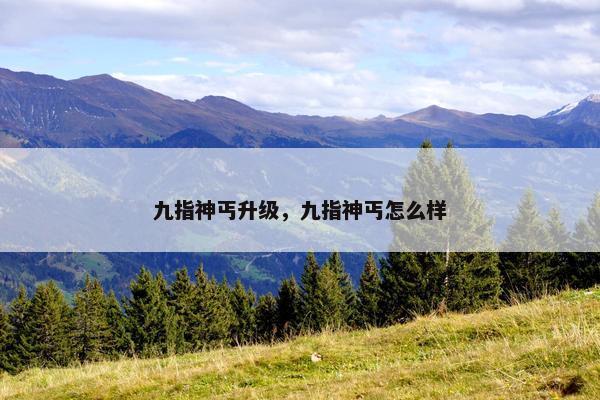九指神丐升级，九指神丐怎么样