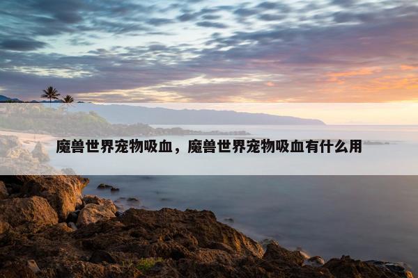 魔兽世界宠物吸血，魔兽世界宠物吸血有什么用