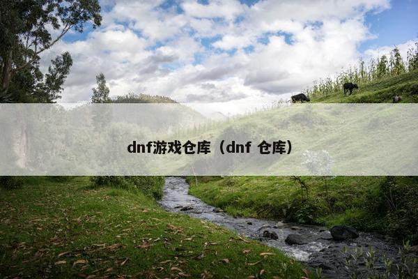 dnf游戏仓库（dnf 仓库）