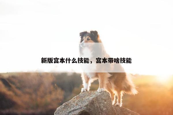 新版宫本什么技能，宫本带啥技能