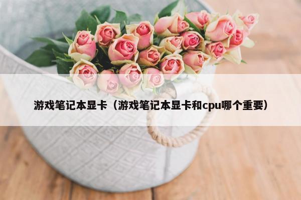 游戏笔记本显卡（游戏笔记本显卡和cpu哪个重要）
