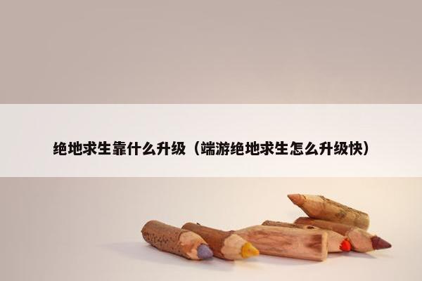 绝地求生靠什么升级（端游绝地求生怎么升级快）