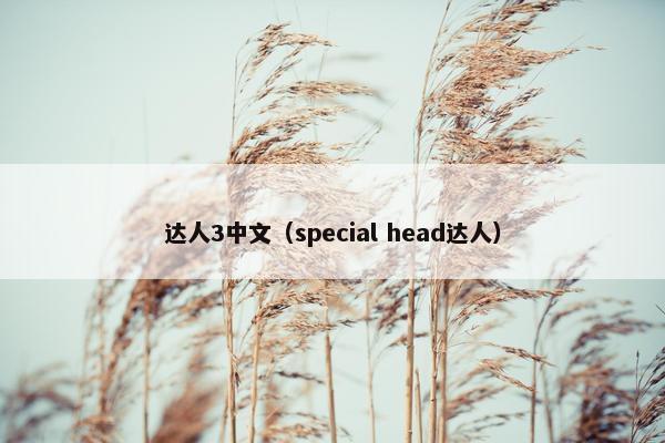 达人3中文（special head达人）