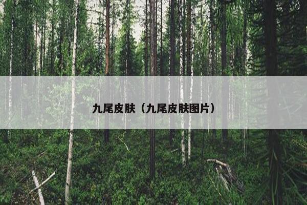 九尾皮肤（九尾皮肤图片）