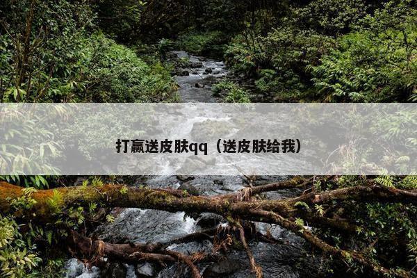打赢送皮肤qq（送皮肤给我）