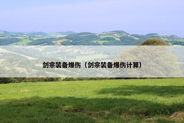剑宗装备爆伤（剑宗装备爆伤计算）