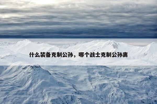 什么装备克制公孙，哪个战士克制公孙离