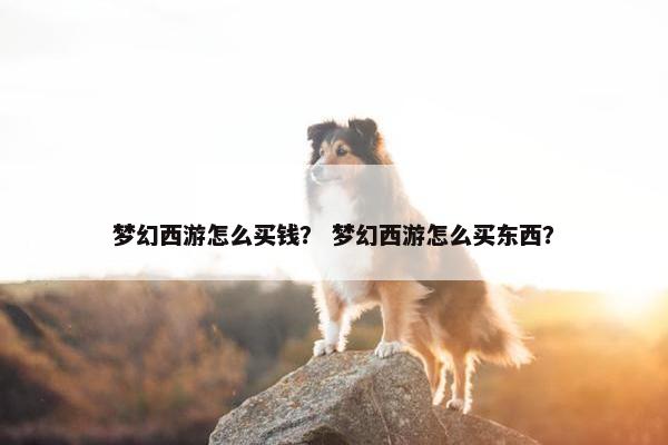 梦幻西游怎么买钱？ 梦幻西游怎么买东西？