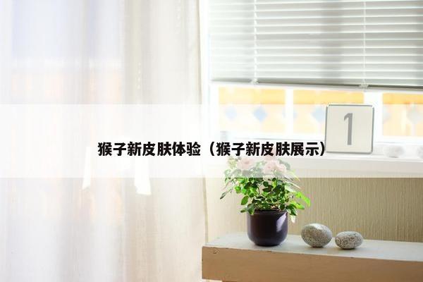 猴子新皮肤体验（猴子新皮肤展示）