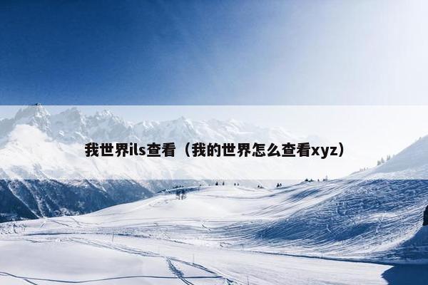 我世界ils查看（我的世界怎么查看xyz）