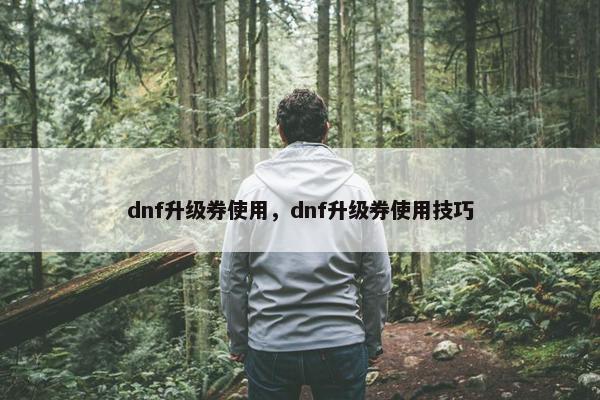 dnf升级券使用，dnf升级券使用技巧