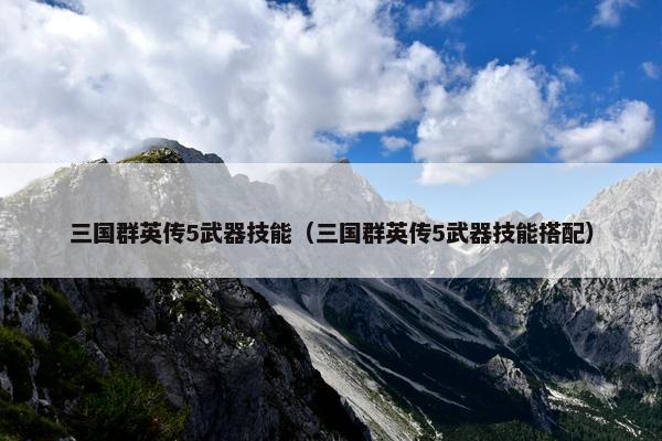 三国群英传5武器技能（三国群英传5武器技能搭配）