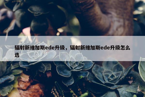 辐射新维加斯ede升级，辐射新维加斯ede升级怎么选