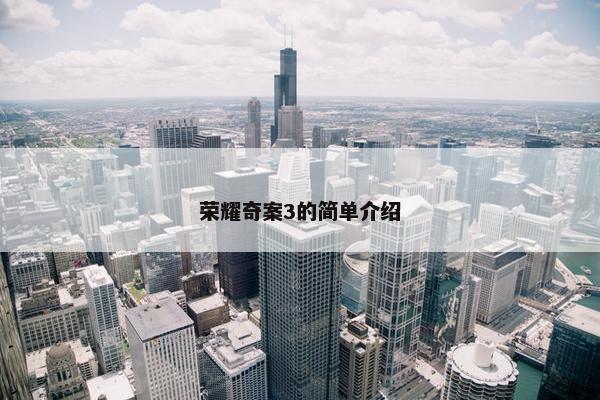 荣耀奇案3的简单介绍