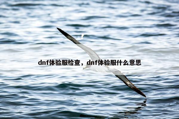 dnf体验服检查，dnf体验服什么意思