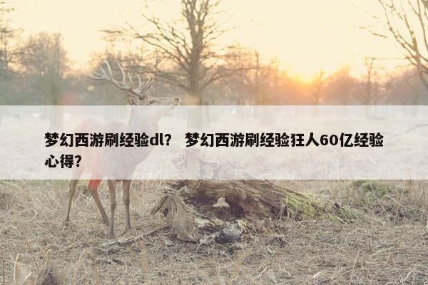 梦幻西游刷经验dl？ 梦幻西游刷经验狂人60亿经验心得？