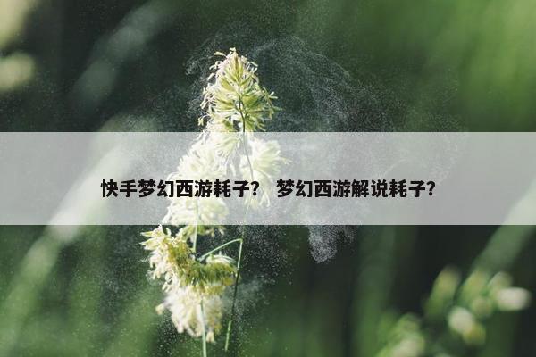 快手梦幻西游耗子？ 梦幻西游解说耗子？