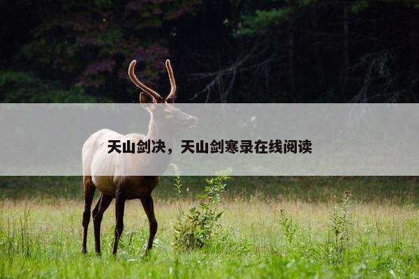 天山剑决，天山剑寒录在线阅读