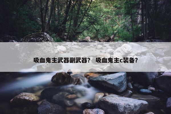 吸血鬼主武器副武器？ 吸血鬼主c装备？