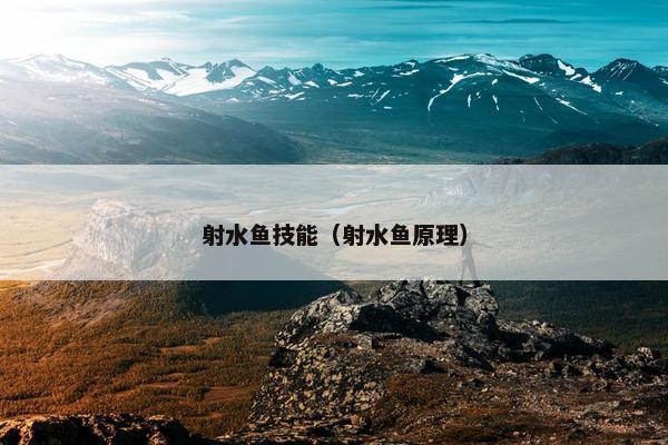 射水鱼技能（射水鱼原理）