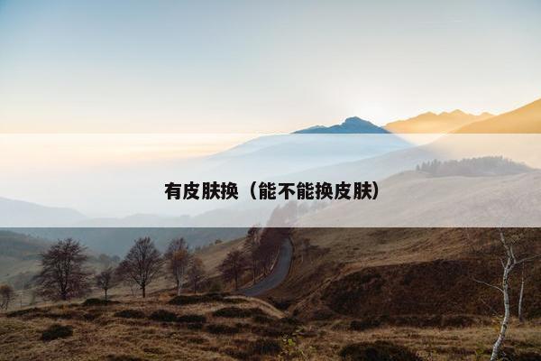 有皮肤换（能不能换皮肤）