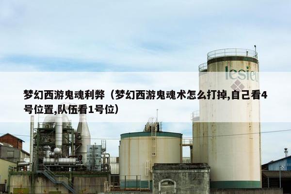 梦幻西游鬼魂利弊（梦幻西游鬼魂术怎么打掉,自己看4号位置,队伍看1号位）