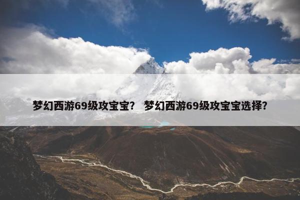 梦幻西游69级攻宝宝？ 梦幻西游69级攻宝宝选择？