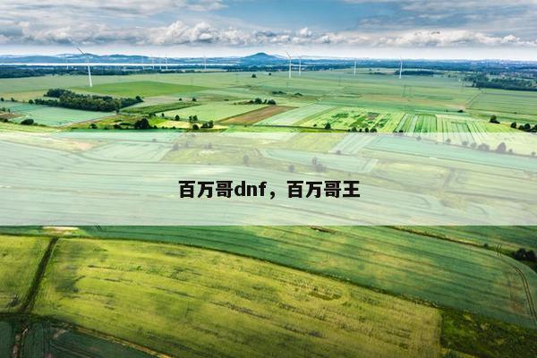 百万哥dnf，百万哥王
