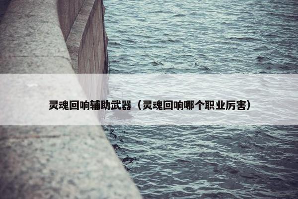 灵魂回响辅助武器（灵魂回响哪个职业厉害）