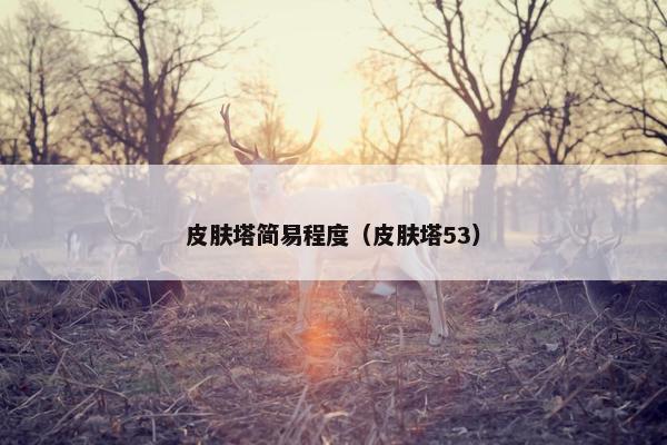 皮肤塔简易程度（皮肤塔53）