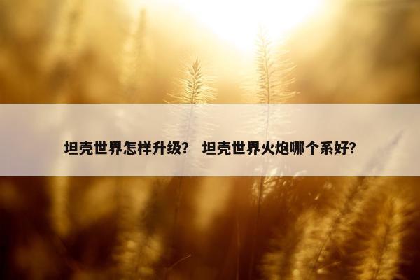 坦壳世界怎样升级？ 坦壳世界火炮哪个系好？