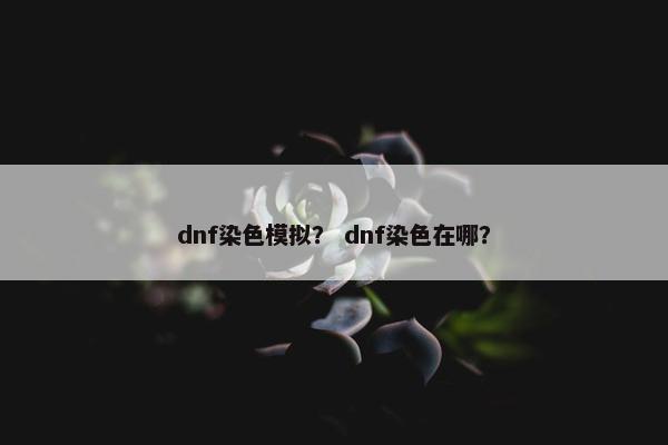 dnf染色模拟？ dnf染色在哪？