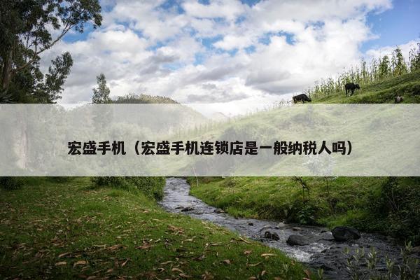 宏盛手机（宏盛手机连锁店是一般纳税人吗）