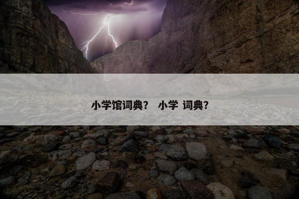 小学馆词典？ 小学 词典？