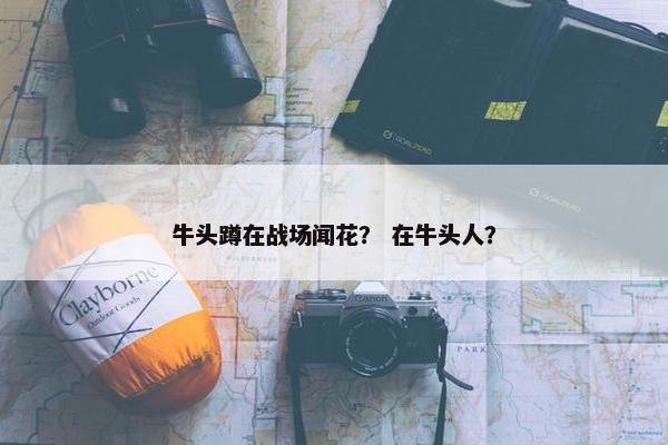 牛头蹲在战场闻花？ 在牛头人？