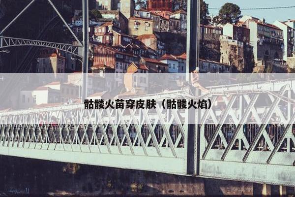 骷髅火苗穿皮肤（骷髅火焰）