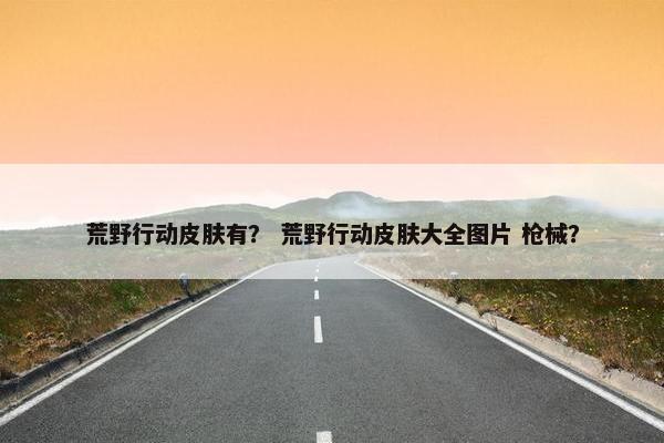 荒野行动皮肤有？ 荒野行动皮肤大全图片 枪械？