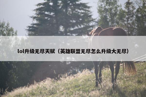 lol升级无尽天赋（英雄联盟无尽怎么升级大无尽）