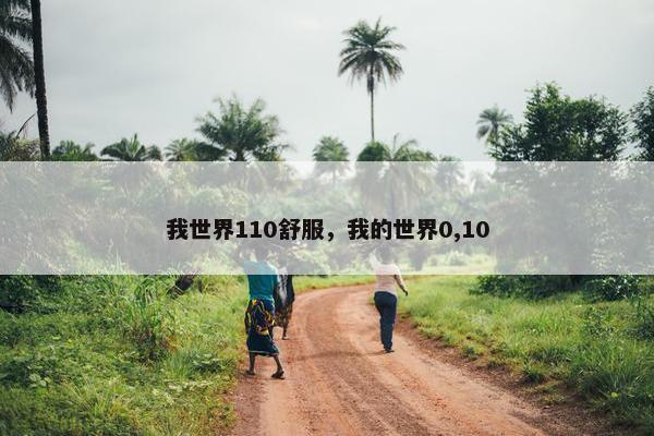 我世界110舒服，我的世界0,10
