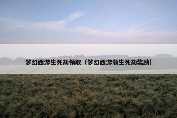 梦幻西游生死劫领取（梦幻西游领生死劫奖励）