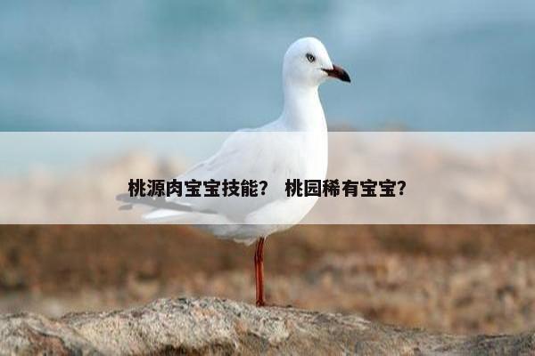 桃源肉宝宝技能？ 桃园稀有宝宝？