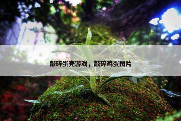 敲碎蛋壳游戏，敲碎鸡蛋图片