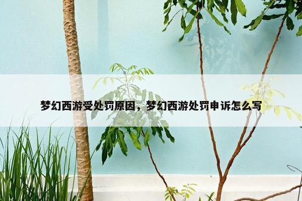 梦幻西游受处罚原因，梦幻西游处罚申诉怎么写